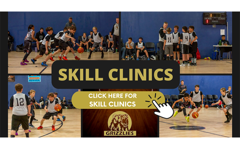 SKILL CLINICS - Click here to register